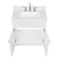 thumbnail image 6 of Ariel Hamlet 30 In. Rectangle Sink Bathroom Vanity With Carrara White Quartz Countertop 1.5 Edge In White, 6 of 9