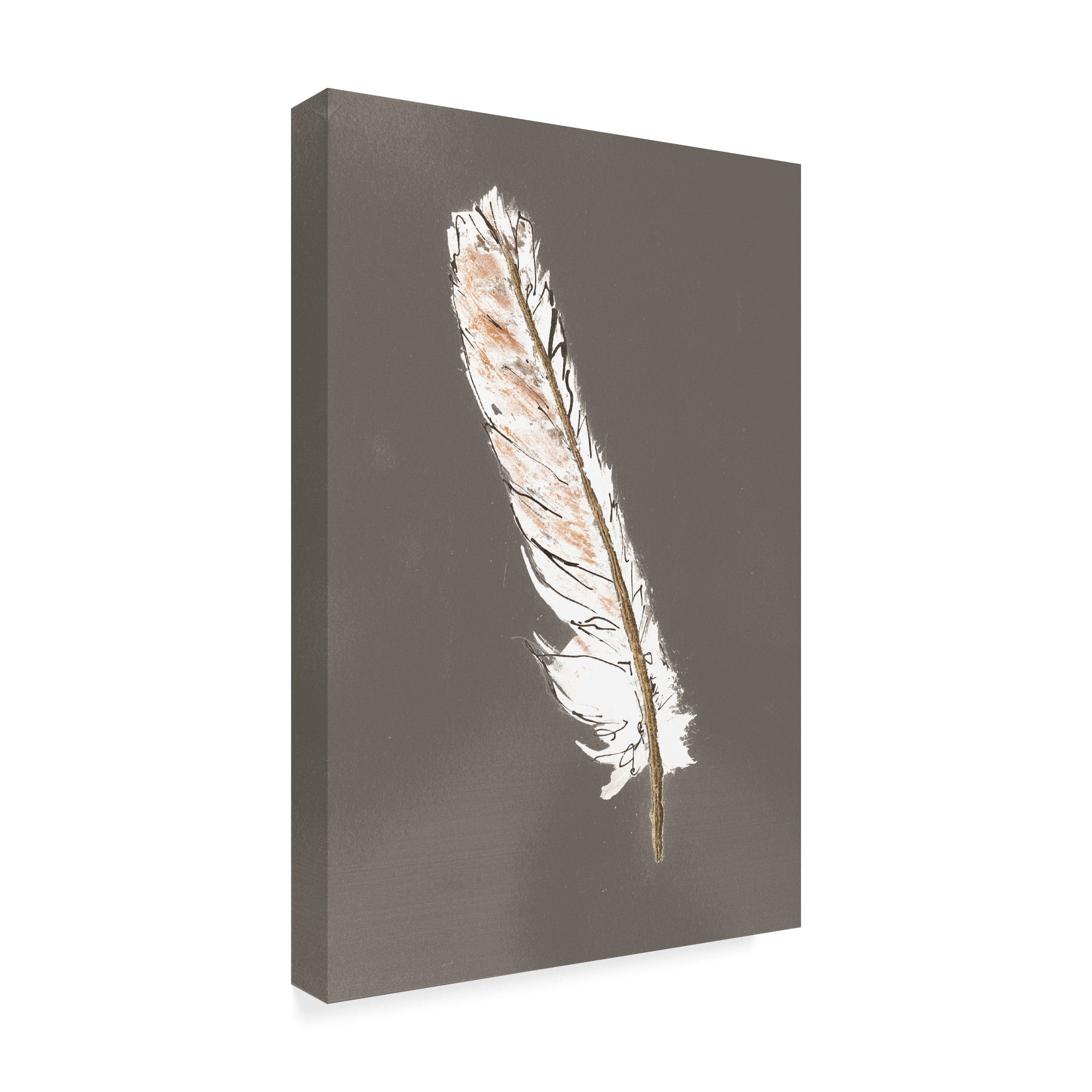 Trademark Fine Art 'Gold Feathers II on Grey' Canvas Art by Chris Paschke