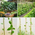thumbnail image 4 of 4ft Natural Bamboo Plant Stakes for Tomatoes, Beans, Flowers, Potted, Climbing Plants 25pcs, 4 of 8