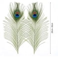 thumbnail image 7 of 30PCS Peacock Feathers 10-12 Inch, Green Peacock Eye Feathers for DIY Crafts Art Halloween Mardi Gras Masquerade Costume Wedding Home Party Christmas Decorations, 7 of 7