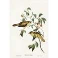 thumbnail image 2 of Gould, John 13x18 Black Modern Framed Museum Art Print Titled - Australian Bell Bird-Myzantha melanophrys, 2 of 4