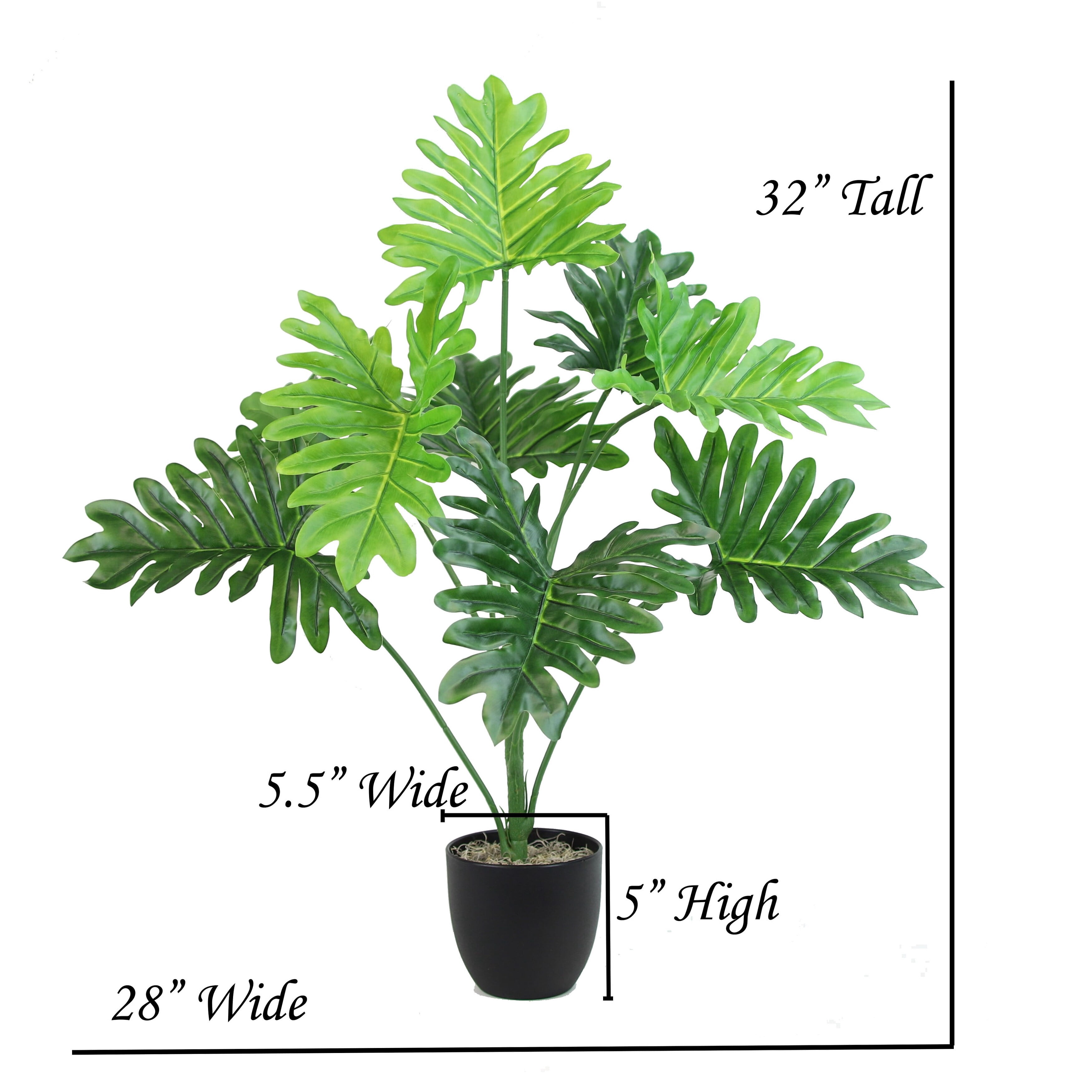 The Mod Greenhouse 32" Artificial Green Silk Happy Philo Tabletop Plant in Black Matte Pot