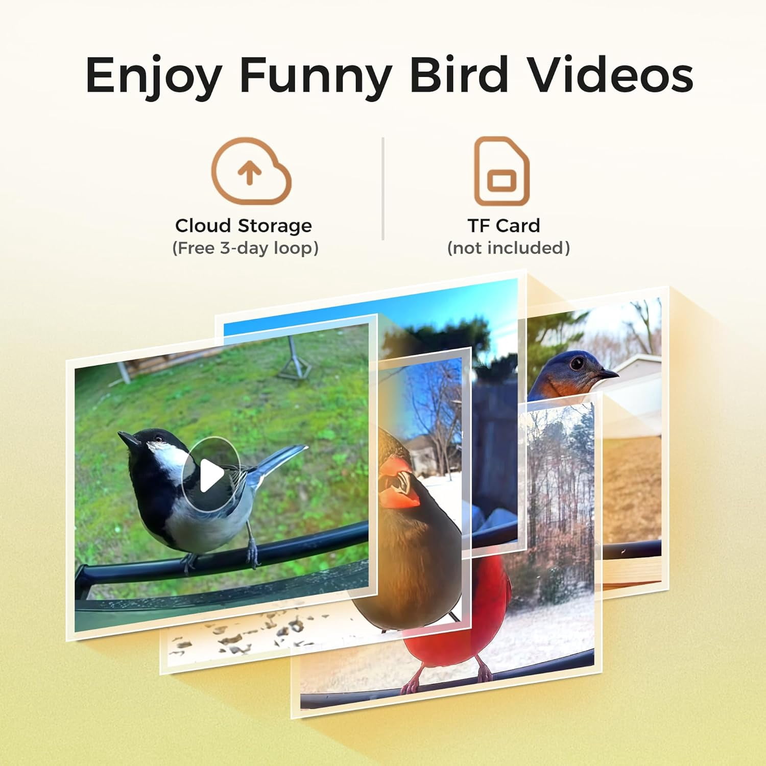 TT Nature Smart Bamboo Bird Feeder with Camera, Solar Powered, 3.2L Squirrel-Proof Video, AI Recognition Alerts, Bird Lover Gift