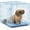 Blue, variant on Pink 24-Inch Folding Metal Dog Crate iCrate, 12-20 lbs Small Burculy Breed Pet Kennel with Divider Panel & Leak-Proof Tray, Secure Paw Block Latch, Tool-Free Assembly, US Qualit