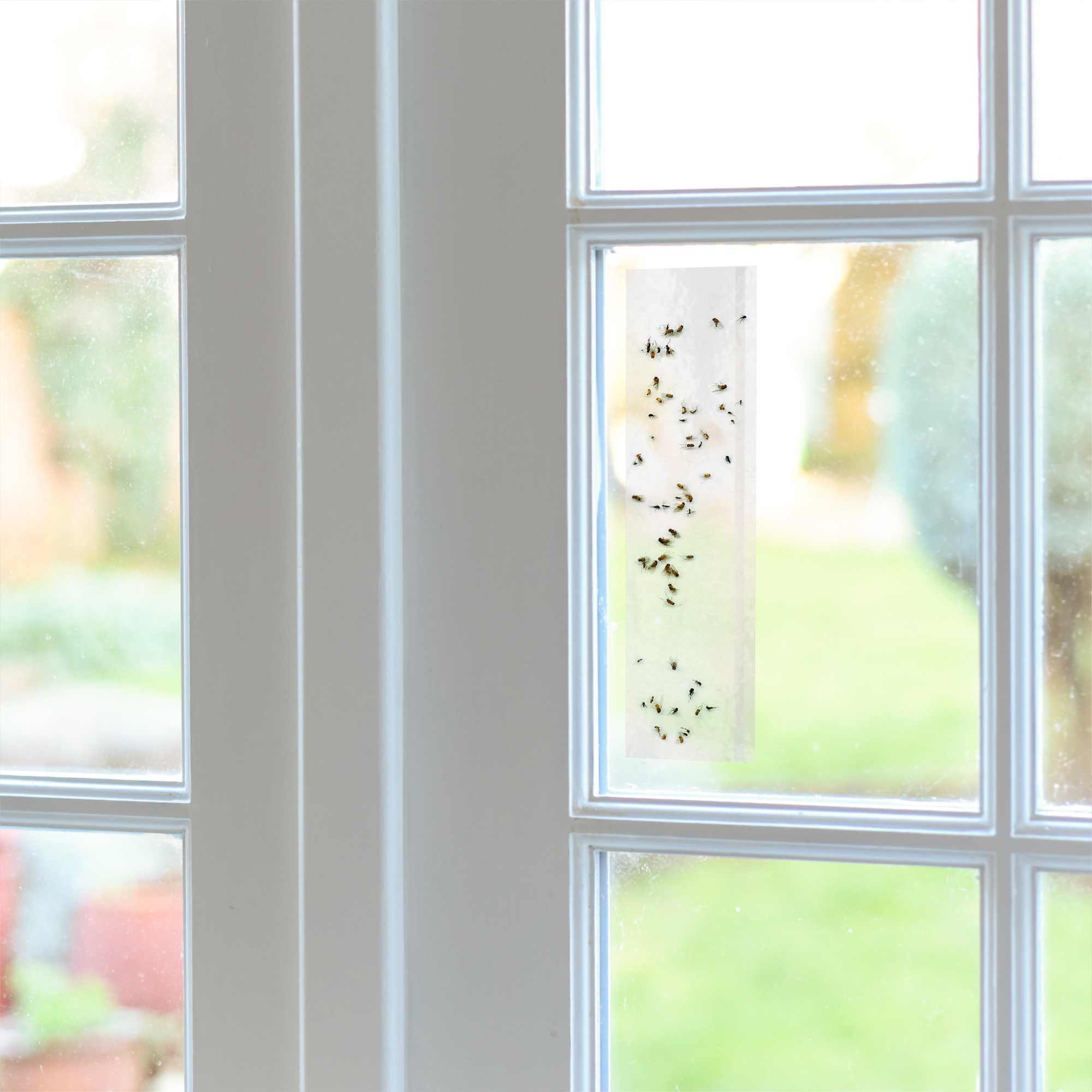 BLACK + DECKER Window Fly Traps | Sticky Glue Paper Window Decals for Flies, Gnats, Moths, Mosquitoes & Other Insect Control | Pre-Baited & Odorless | 16 Pack