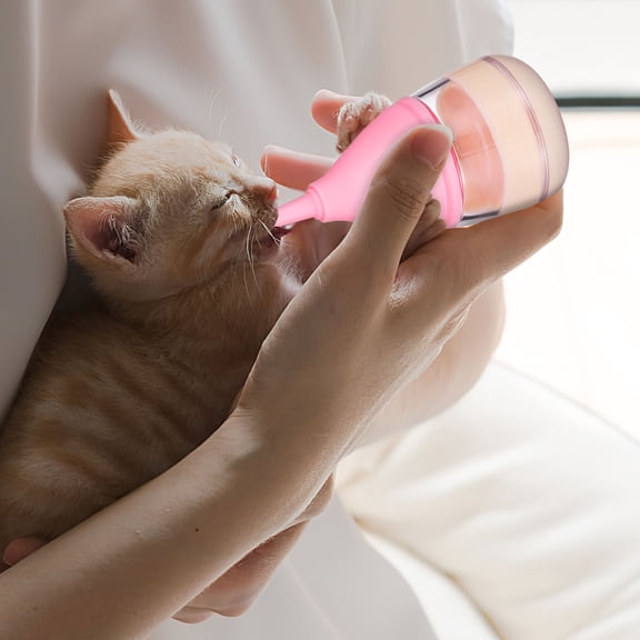 LIFKOME 6-Piece Kitten and Puppy Feeding Set, Pet Feeder Kit for Cats, Dogs and Small Animals
