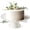 White-10 Inch (for up to 8" Cake), variant on Ceramic Cake Stand  Small Plate For 8 Inch Vintpedestal With Ruffle Trim Mother's Day Cupcake Dessert Table Display Speckled White