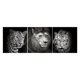 thumbnail image 2 of Cuadros Decorativos 3 piezas 5D DIY completo taladro cuadrado diamante pintura animales punto de cruz Kit (2) Ndcxsfigh Nuevos Originales, 2 of 9