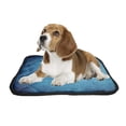 thumbnail image 2 of PKQWTM Vintage Dark Blue Vignette Pet Dog Cat Bed Pee Pads Mat Cushion Potty Dogsblankets Crate Bed Kennel 28x36 inch, 2 of 3