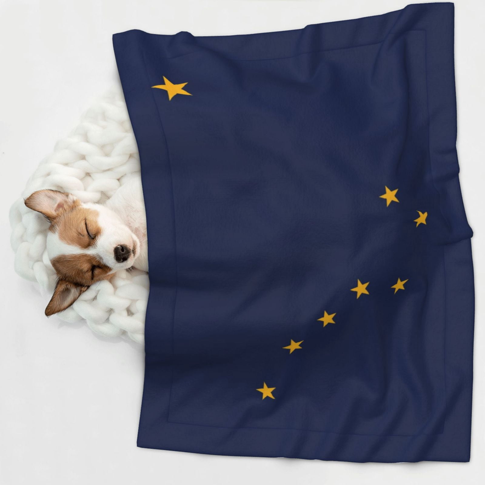 Flannel Throw Dog Blanket Alaska Flag Soft Warm Print Pet Blankets for Small Dog Cat Puppy