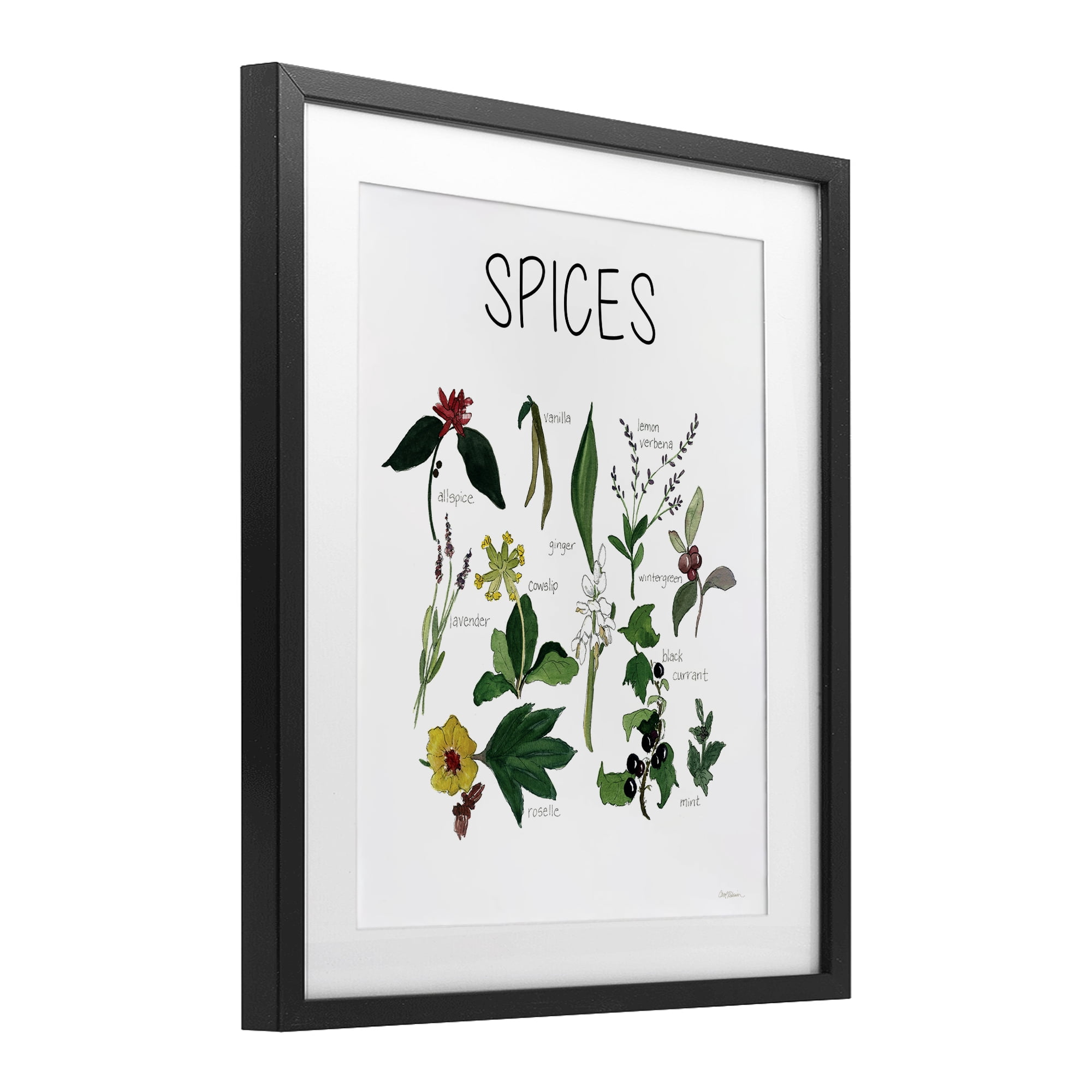 Stupell Industries Spices Identification Chart Black Framed Print Under Glass, design by Carol Robinson