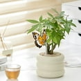 thumbnail image 5 of Insert de Pot en Acrylique Décoration, 5 of 5