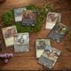 thumbnail image 4 of Magic: The Gathering Bloomburrow Commander Deck Bundle - Includes All 4 Decks (Animated Army, Family Matters, Peace Offering, and Squirreled Away), 4 of 6