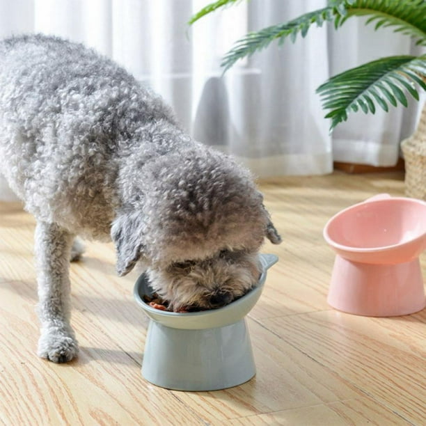 Elevated Cat Ceramic Bowls, Small Dog 15° Tilted Raised Food Feeding