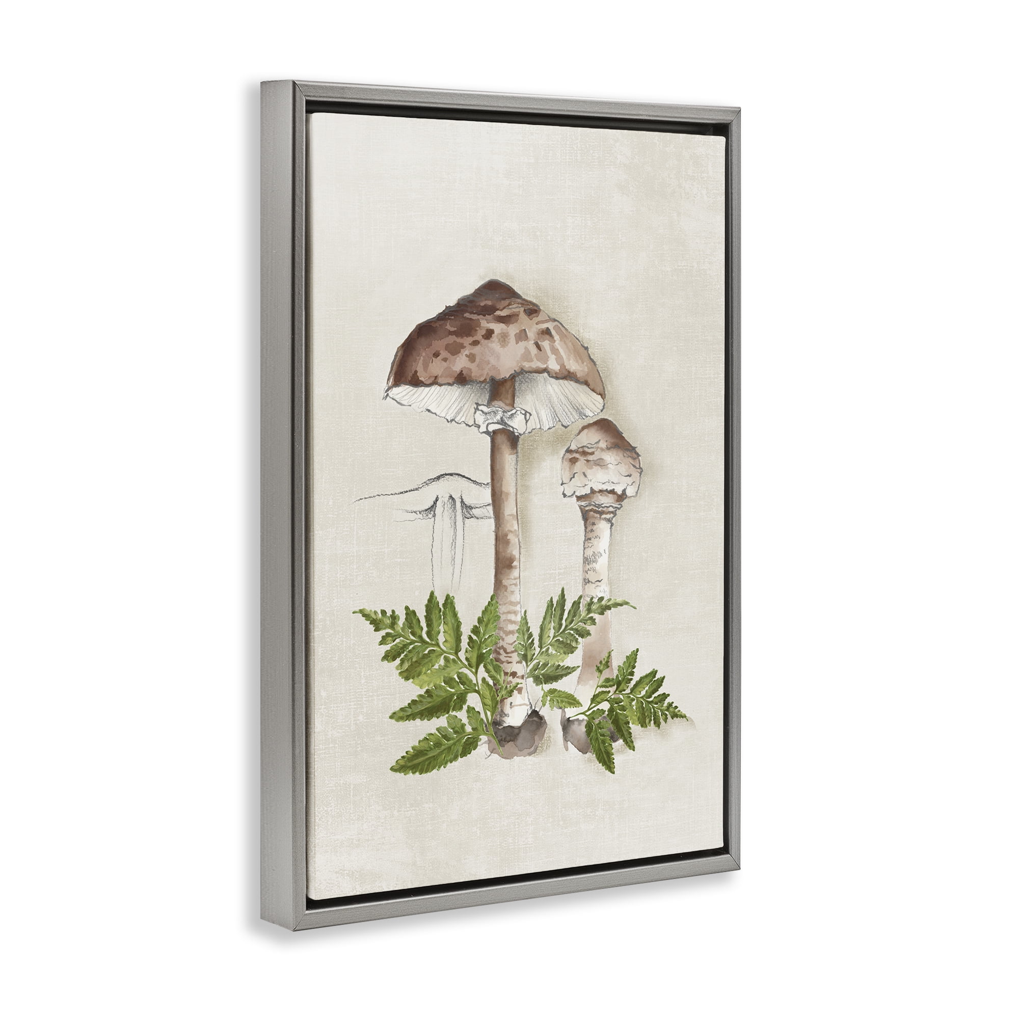 Stupell Industries Mushroom & Ferns Sketch Plants & Flowers Painting Gray Floater Framed Canvas Art Print Wall Art, 17 x 25