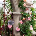 thumbnail image 3 of 3pcs Iron Flower Buckets Flower Hanging Bucket Decorative Plant Buckets, 3 of 4
