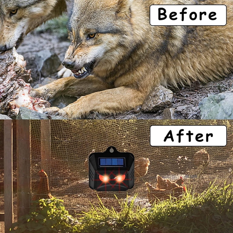 Predator Deterrent Light For Chicken Coop Solar Animal Repeller - 4 ...