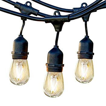 Brightech Ambience Pro - Waterproof LED Outdoor String Lights - Hanging, Dimmable 2W Vintage Edison Bulbs - 48 Ft Commercial...