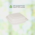 thumbnail image 4 of Café Express (150 Count) 8" x 8" Hinged Food Containers, PP Clamshell, Snap Tight with Easy Grip Tabs, Leak & Grease Resistant Box, Microwave-Safe Disposable Containers, 4 of 4
