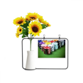 thumbnail image 1 of Chip Green Table Gambling Photo Artificial Sunflower Vases Bottle Blessing Card, 1 of 3