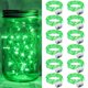 thumbnail image 1 of Fairy Lights verde tiza, 20 LED de 2 m, funciona con pilas, paquete de 12, 1 of 7