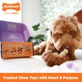 thumbnail image 3 of Nylabone The Box - Chew Toys & Treat Dog Gift Box Variety Small (4 Count), 3 of 11