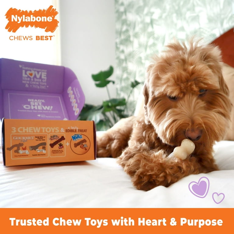 Nylabone The Box Chew Toys Treat Dog Gift Box Variety Small Regular Up to 25 Ibs. 4 Count Walmart