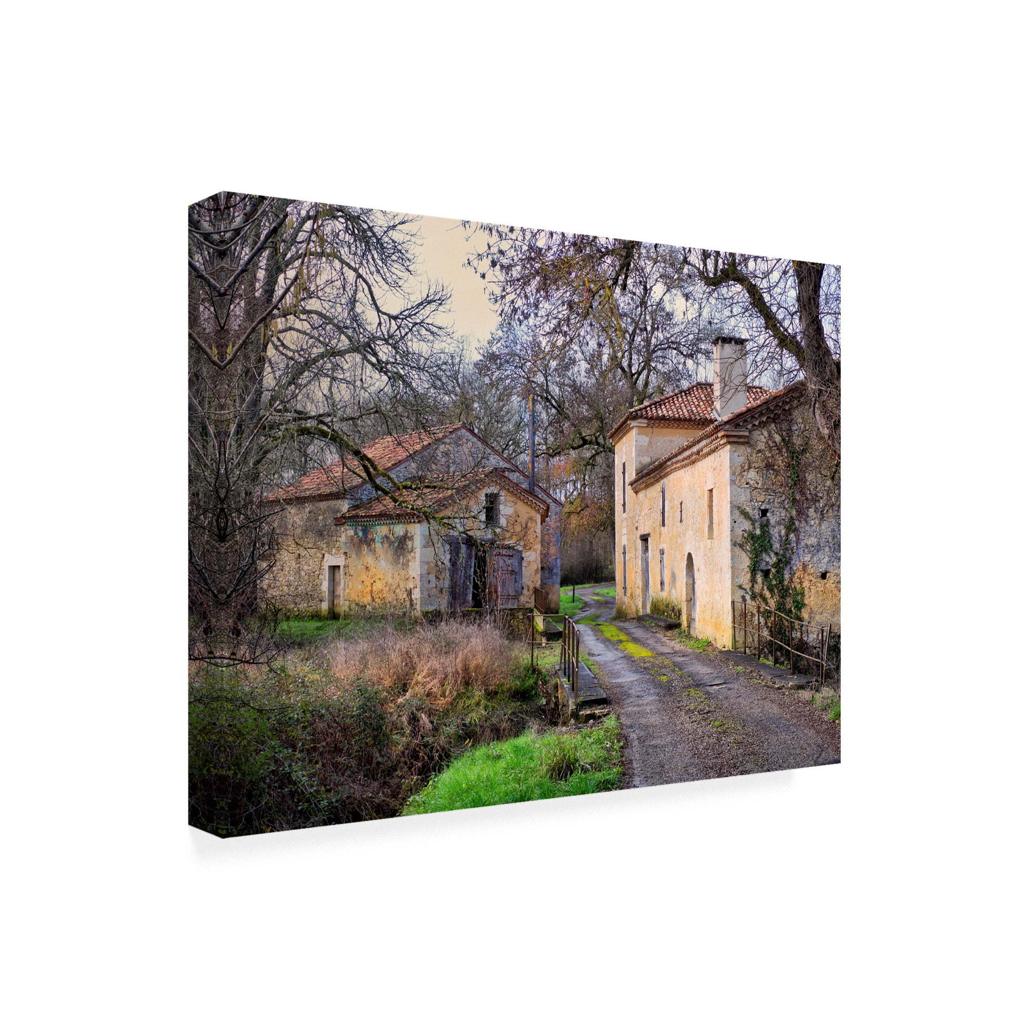 Trademark Fine Art 'Pastoral Countryside XII' Canvas Art by Colby Chester