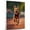 Airedale Terrier, variant on Barbet Cute Dog Running Stretched Canvas Size 8x12 – Retro Barbet Dog Batter in Action With Running for Themed Living Room