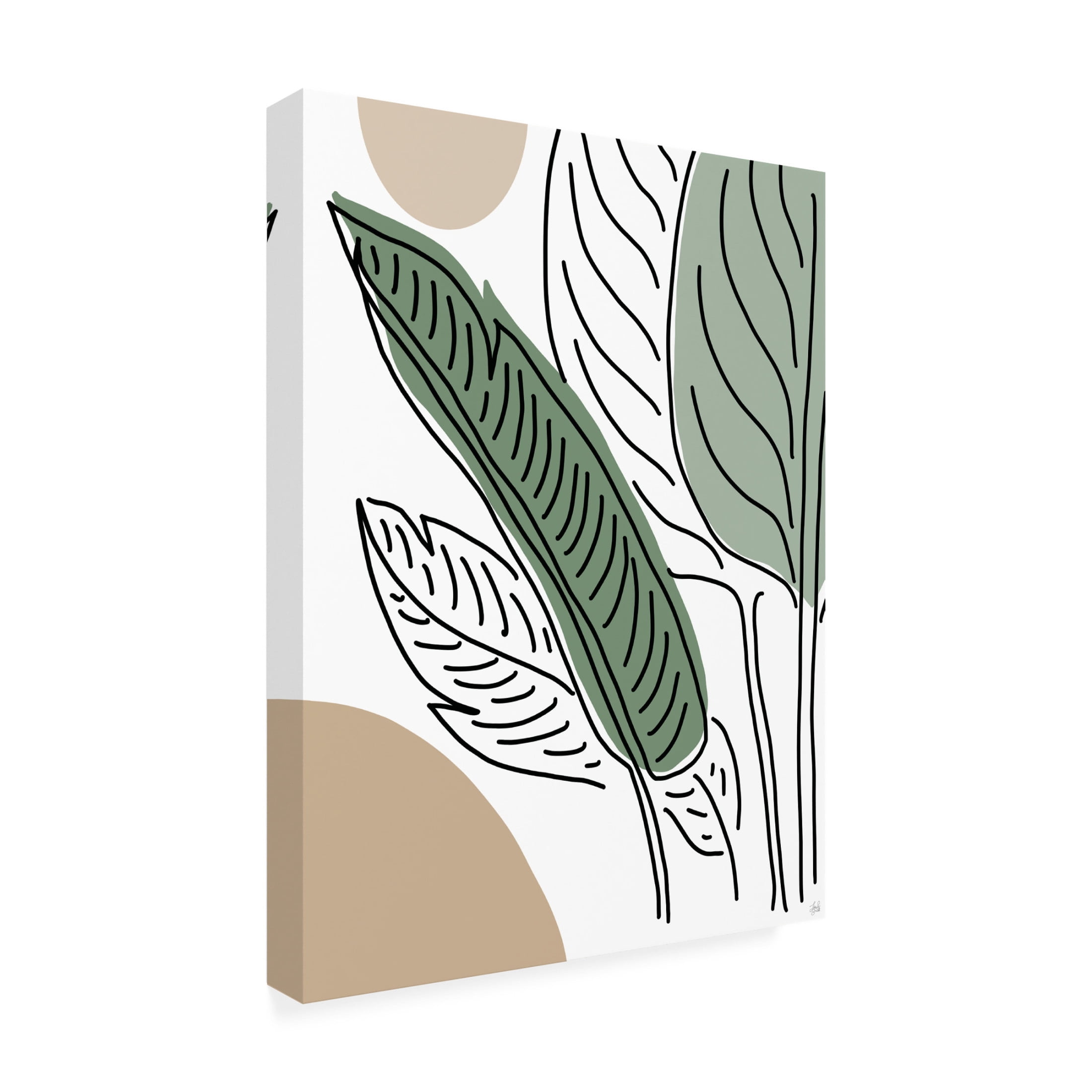 Canvas Wall Art - Line and Brush 'Ferns By Lines 1' Wall Art for Living Room, Bedroom, or Office Décor by Trademark Fine Art - 14 x 19 Inches