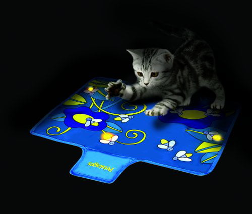 kitten play mat