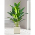 thumbnail image 3 of 1pc Artificial Plants Large Tropical Palm Tree Fake Banana Plants Leaves Real Touch Plastic Monstera Plant For Home Garden Decor, 3 of 6