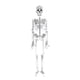 thumbnail image 2 of Xihbxyly Juguete de Esqueleto Luminoso, Cuerpo de Calavera Brillante, Diseño de Extremidades Móviles, Decoración Aterradora de Halloween, Accesorio de Fiesta Espeluznante, Perfecto para Cosplay, Tama, 2 of 7