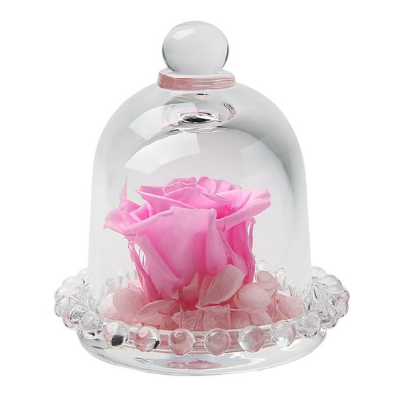 EGNMCR Preserved Roses Flower In Glass Romantic Gift Eternal Rose