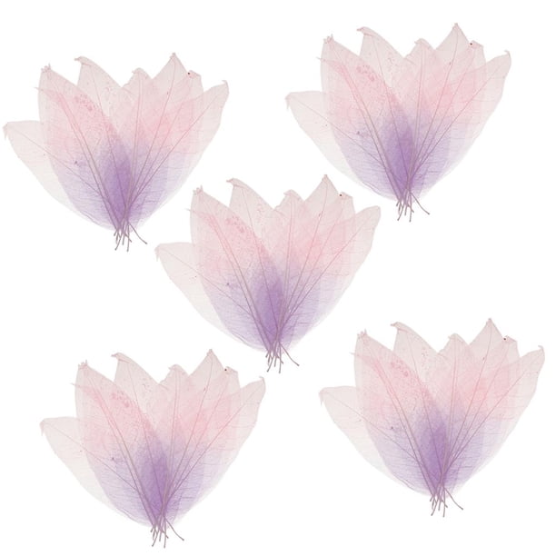 50 hojas de esqueleto de magnolia natural multicolor para manualidades de álbumes de recortes Púrpura + rosa