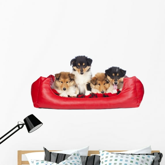 American Collie Welpen im Wall Mural by Wallmonkeys Peel and Stick Graphic (48 in W x 23 in H) WM4228