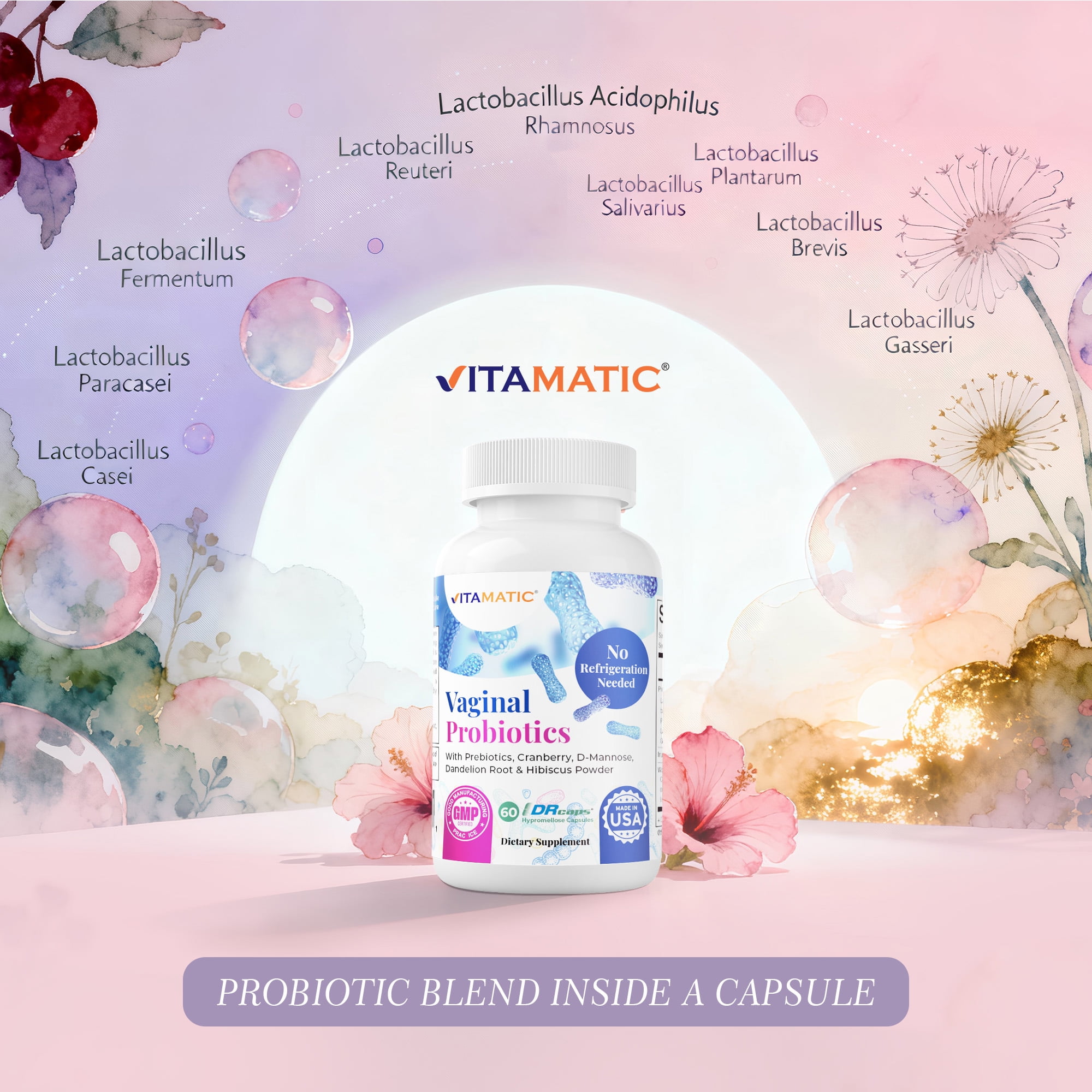 (3 pack) Vitamatic Vaginal Probiotics 20 Billions for Women pH Balance & Odor Control with Prebiotics & Probiotics 60 DR Capsules - Made with Cranberry, D-Mannose, Hibisucs & Dandelion