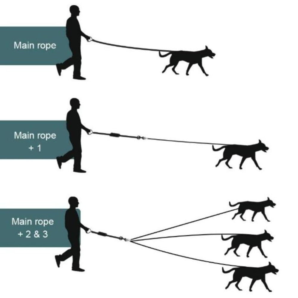 4 ft sale leash