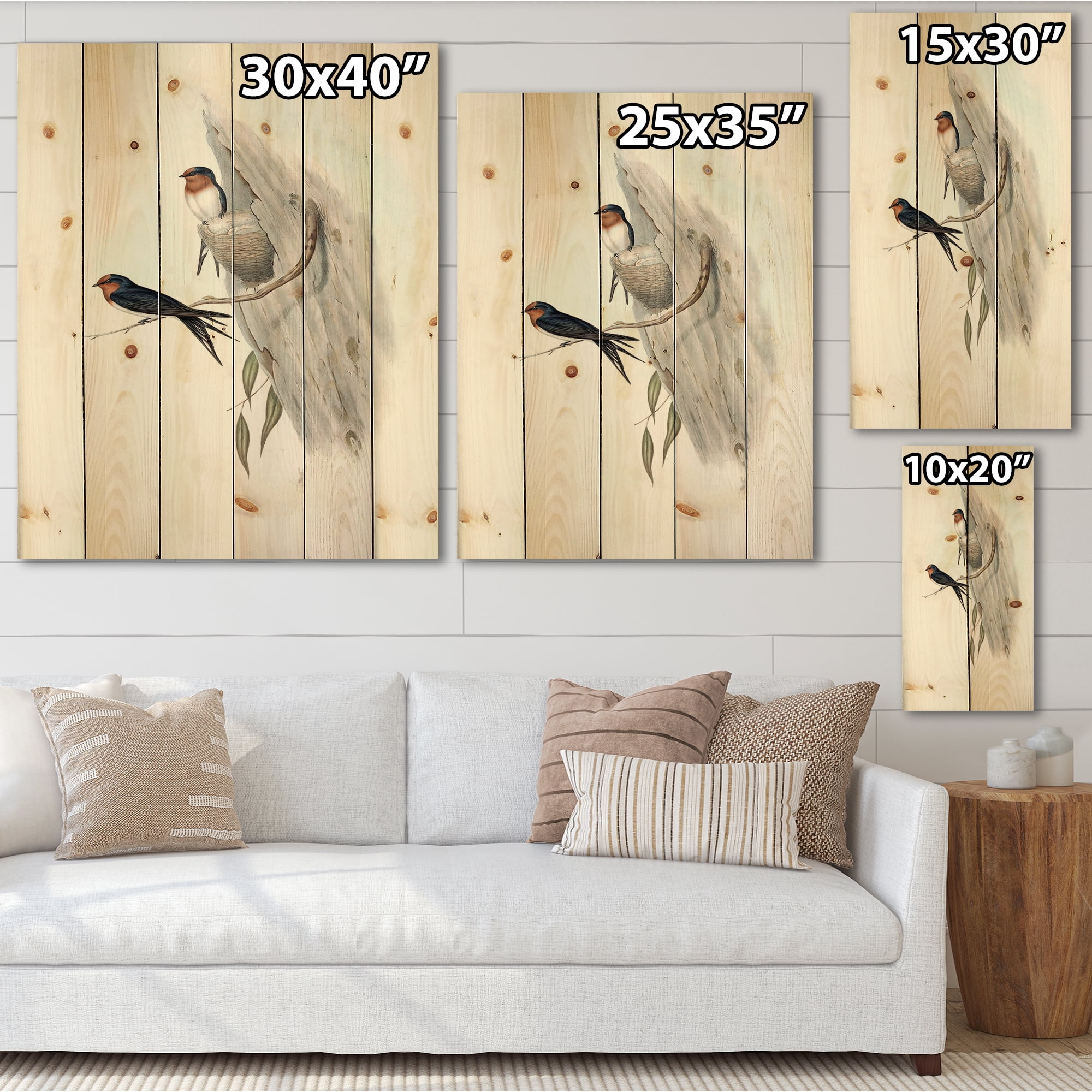 Designart 'Ancient Australian Bird Illustrations II' Traditional Print on Natural Pine Wood