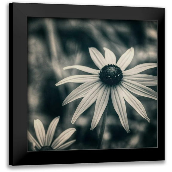 Hoey, Linda 12x12 Black Modern Framed Museum Art Print Titled - Garden At Dusk