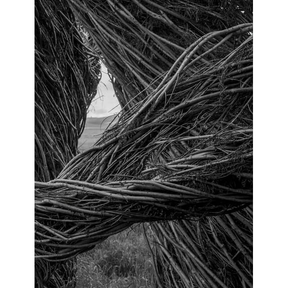 Patrick Dougherty James Florio: Sticks, (Hardcover)