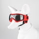 thumbnail image 3 of Adecuado para perros pequeños y medianos Gafas de sol UV, resistentes al viento, a la niebla, al polvo y a la nieve, para paseos al aire libre, 3 of 5