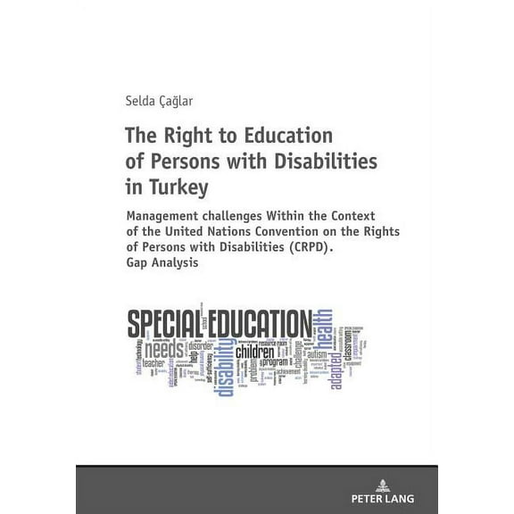 The Right to Education of Persons with Disabilities in Turkey (Paperback)