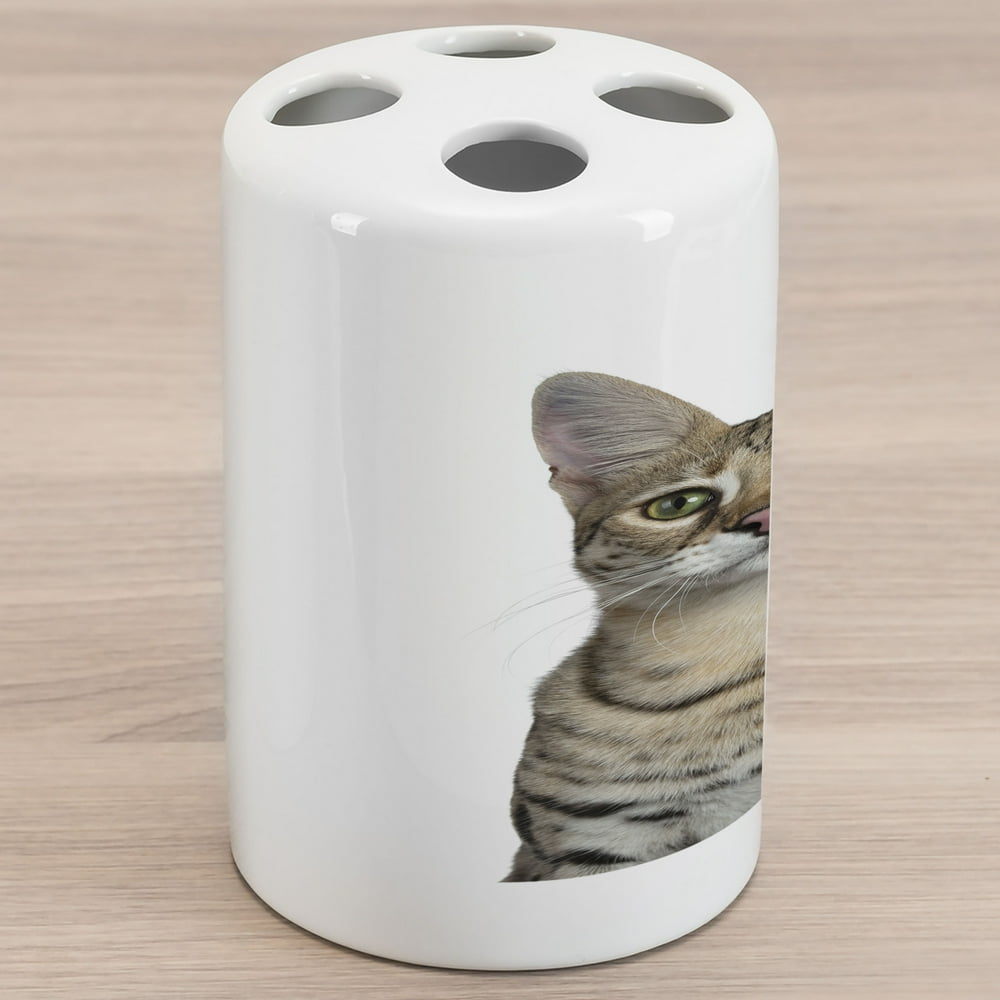 Kitty Ceramic Toothbrush Holder, Head Shot of a Cool Young Cat Facing