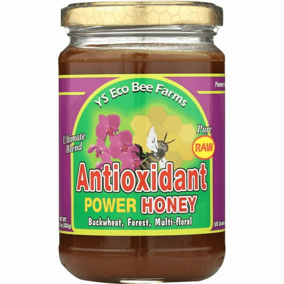 Y.S. Eco Bee Farms Raw Antioxidant Power Honey – Allergen-Free – 13.5 oz Paste