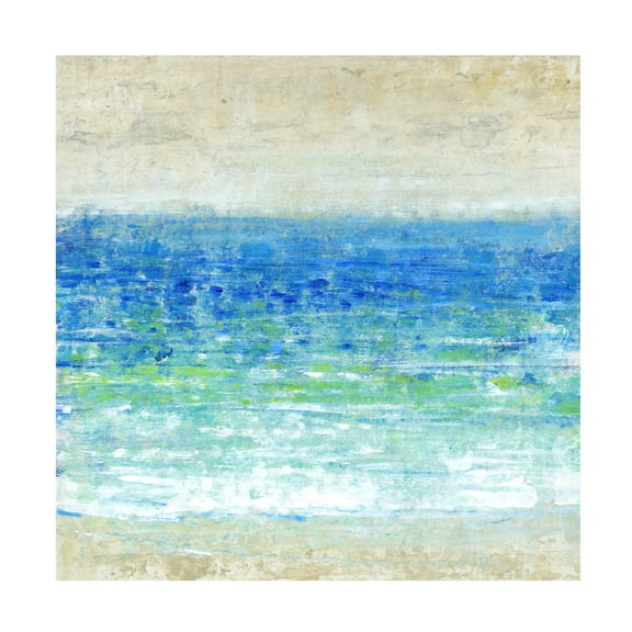 Tim OToole 'Ocean Impressions I' Canvas Art