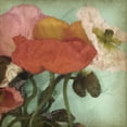thumbnail image 2 of Goldberger, Jennifer 20x20 Black Ornate Wood Framed with Double Matting Museum Art Print Titled - Aquatic Poppies II, 2 of 4