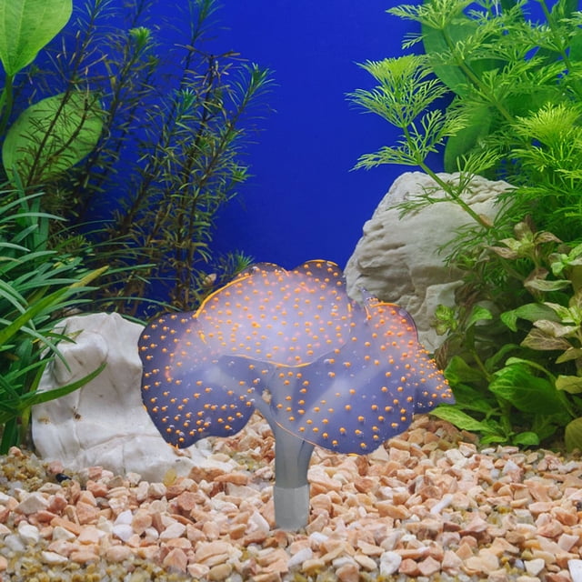 Decoración de Acuarios con Medusas Fluorescentes, Césped Acuático y Paisajismo.