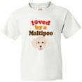 thumbnail image 3 of Inktastic Maltipoo Dog Gift Poodle Maltese Youth T-Shirt, 3 of 5