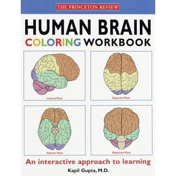 Pre-Owned HUMAN BRAIN COLORING (Paperback) 0679778853 9780679778851